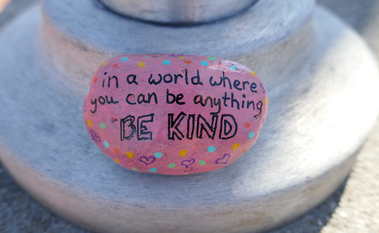 A photo of a pebble painted in pink with the words "in a world where you can be anything, be kind"