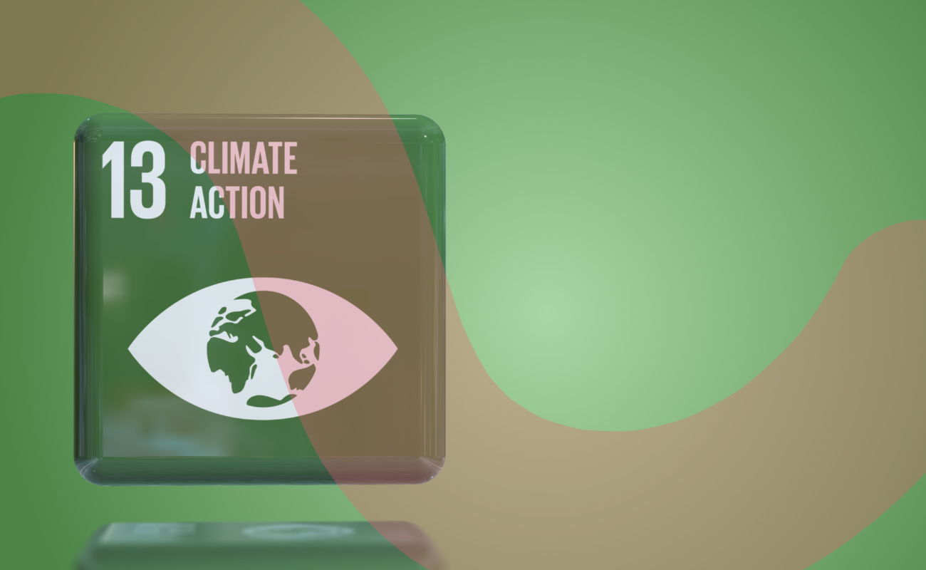 A graphic with the green climate action icon. The icon says '13 Climate Action' and has an eye shape with a world as the iris