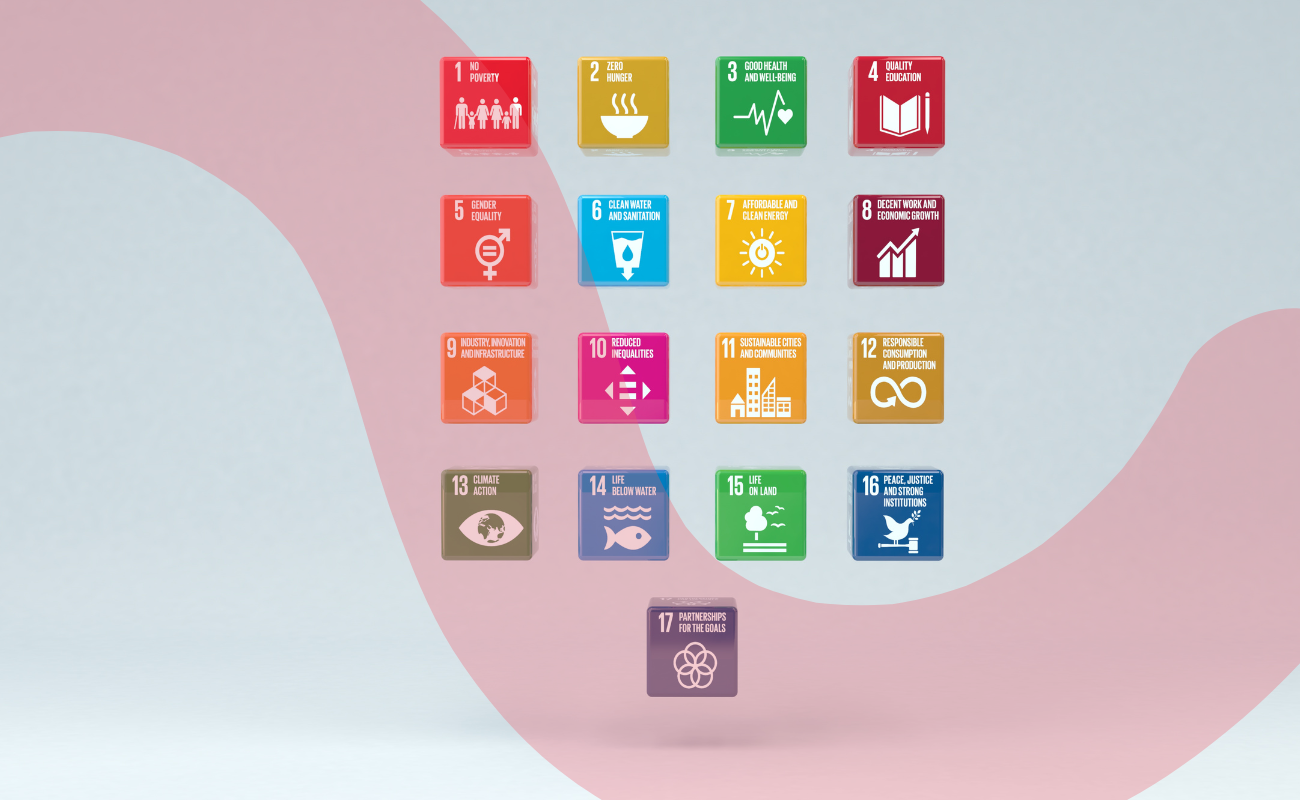 A graphic with a grid layout containing the official icons of the 17 global goals.