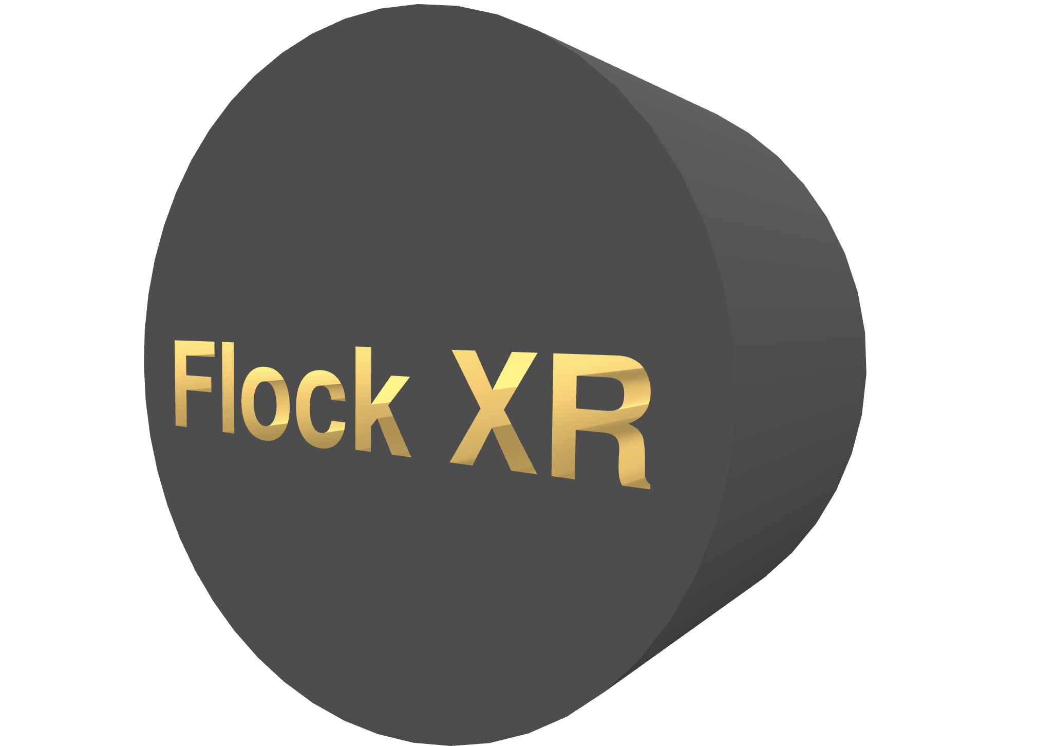 A 3D cylinder on its side with the words 'Flock XR' cut out of the cylinder. 